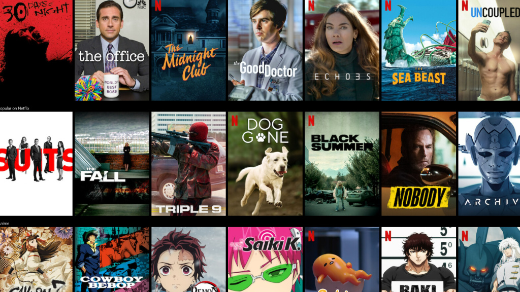 Striming platforme - Netflix katalog