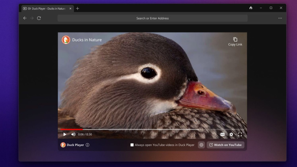 DuckDuckGo pregledač i ugrađeni Duck Player za Windows