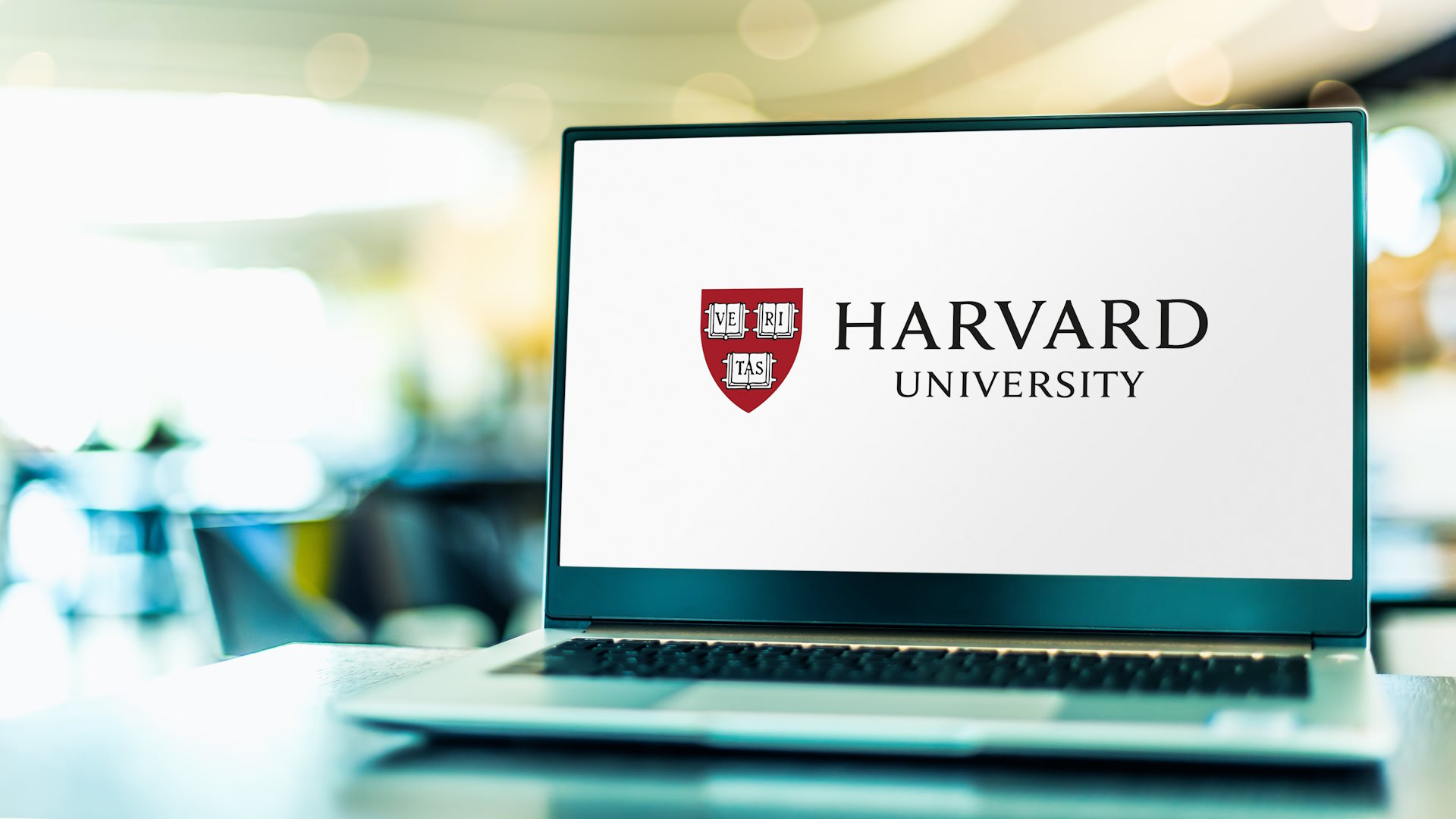 Un chatbot come insegnante insegnerà ad Harvard a partire dall’autunno