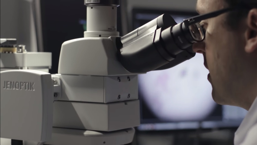 Google AI mikroskop koristi veštačku inteligenciju kako bi pomogao lekarima da otkriju rak