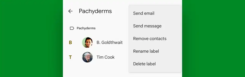 Google Contacts