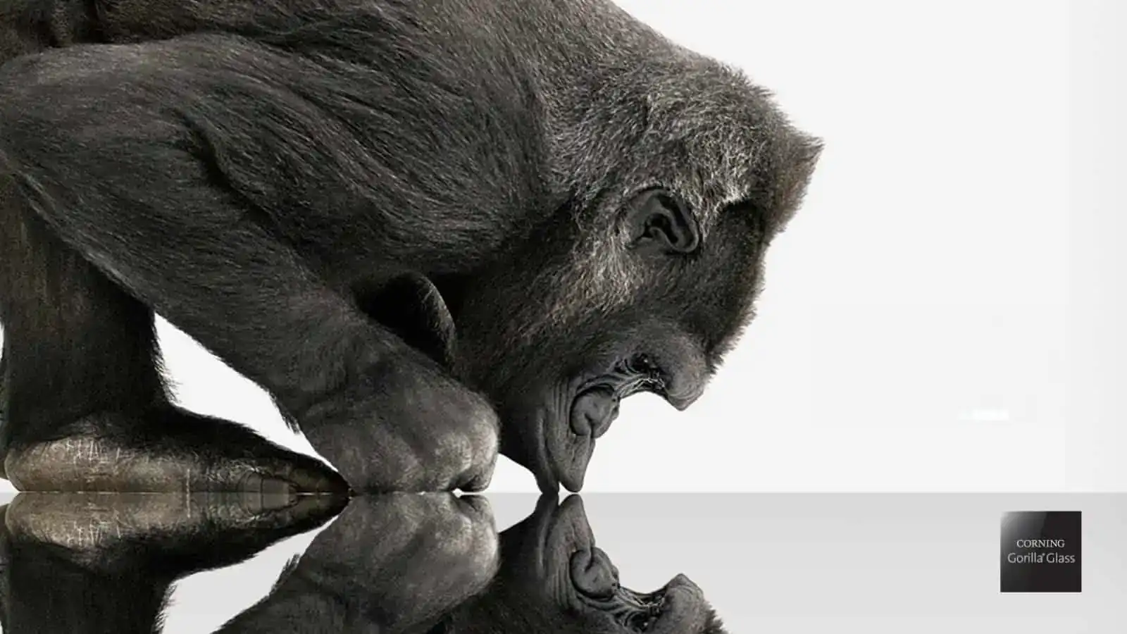 Gorilla-Glass-Corning.webp