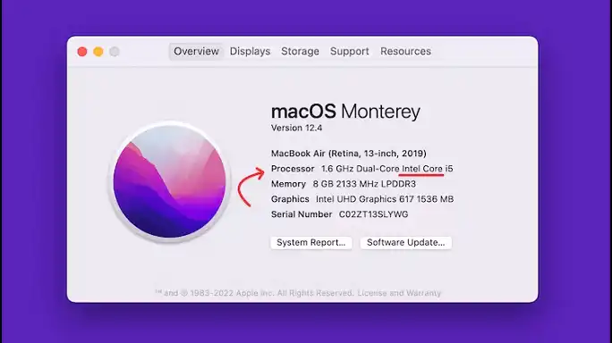 Intel MacOS
