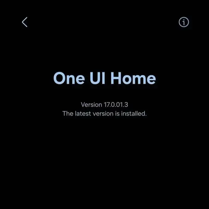 One UI Home