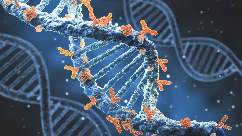 Dolaze DNK roboti: mikromašine koje mogu promeniti medicinu i tehnologiju