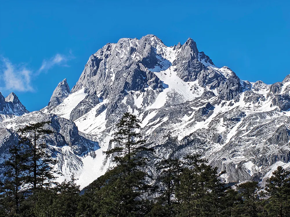 Honor 600 Pro Snow-capped mountain range against a clear blue sky with pine trees in the foreground, winter scenery.