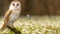 Microsoft potvrdio Recycle Bin bag u svim Windows verzijama