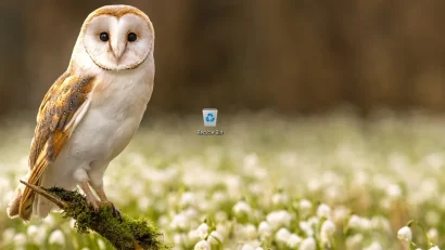 Microsoft potvrdio Recycle Bin bag u svim Windows verzijama